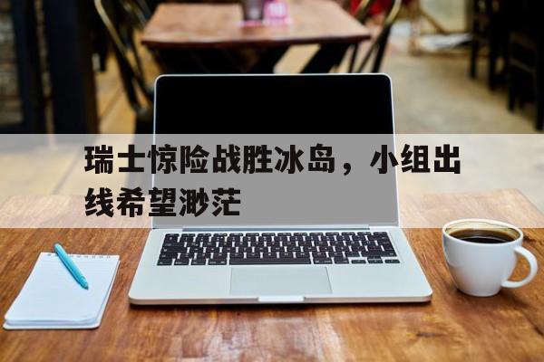 瑞士进攻